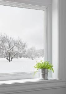 Zimné záhrady, skleníky, okná-umývanie, čistenie
