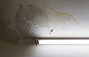 Odstranění plísně a vlhkosti na studené stěně